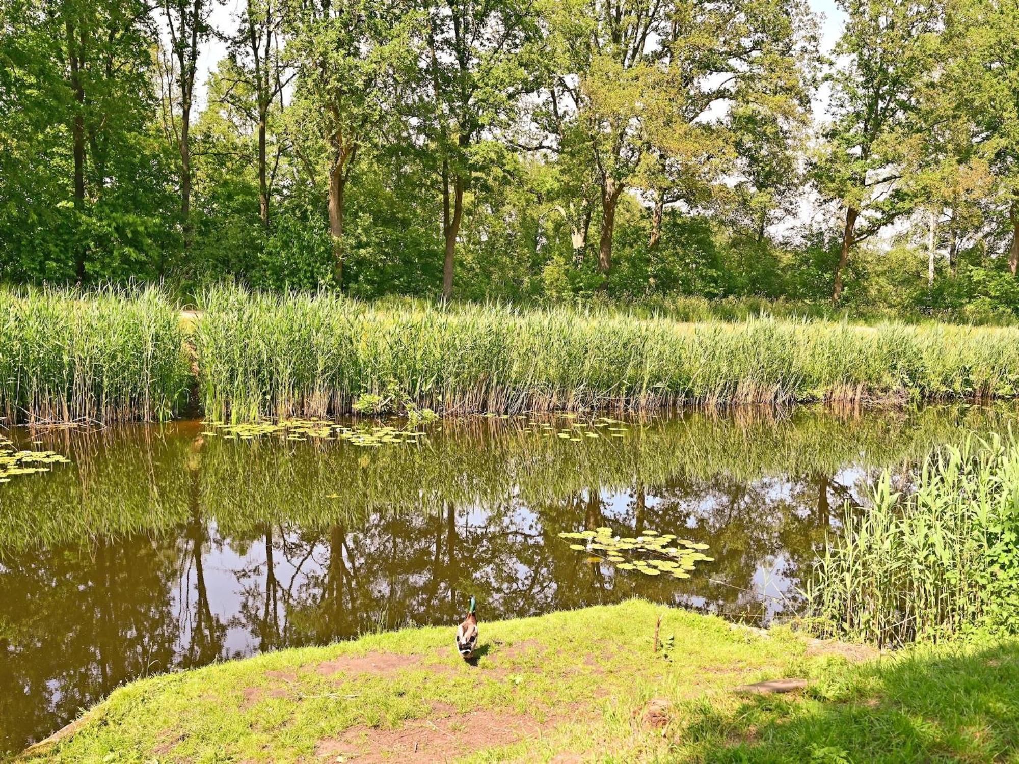 Chalet With Gorgeous View Of The Natural Surroundings Weerselo Exterior photo